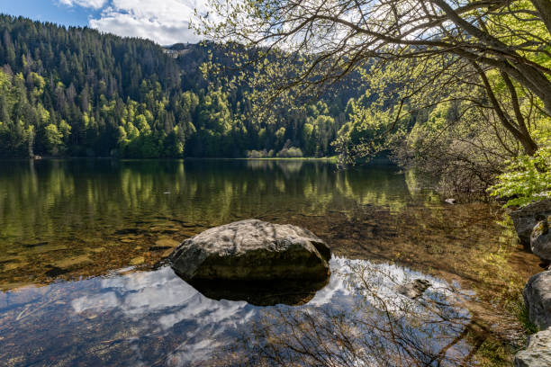 istock Feldsee lake in the Black Forest, Germany 1331793047