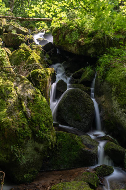 istock Getrelbach waterfall in the Black Forest, Germany 1331794052