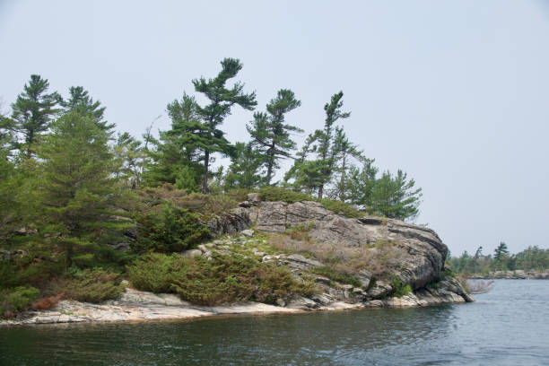 istock Granite Cliffs and windswept Pines in Georgian Bay 1331794210