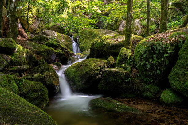 istock Getrelbach waterfall in the Black Forest, Germany 1331794245