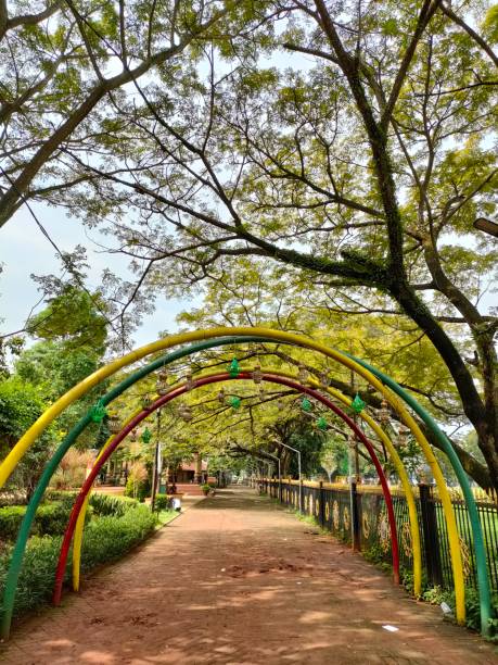 istock A clean and beautiful city park 1331796551