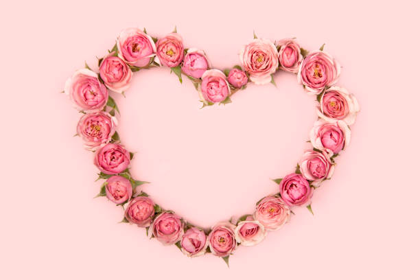 istock Pink roses heart - Valentine concept 1331797204