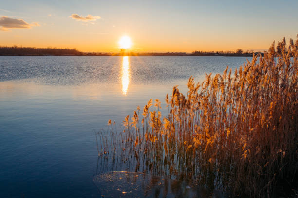 Scenic view of lake water surface with grass during sunset