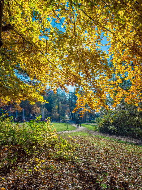 istock Autumn at Lake Starnberg, Bavaria, Germany 1331799587