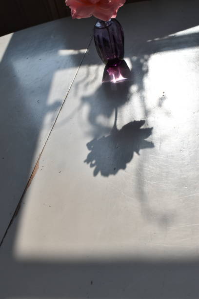 The elegant and romantic shadow from a single rose and window stretchers. A dreamlike atmosphere - you see the rose, the concentrated light through the purple glass and the perfect rose shaped shadow from the rose head - this way you see the rose from two angles like in a projection drawing. concentrated solar power stock pictures, royalty-free photos & images