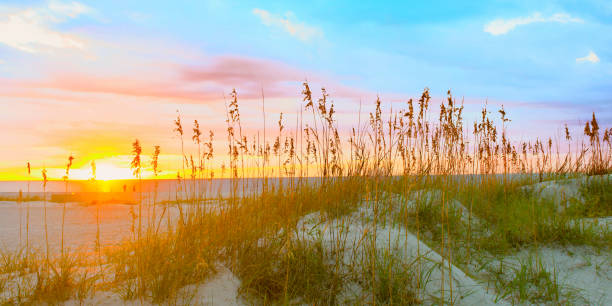 istock Sunrise-Hilton Head Island South Carolina 1331803895