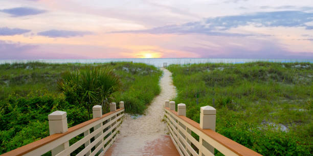 Pathway to the Beach-Hilton Head Island, SC Pathway to the Beach-Hilton Head Island, SC hilton head photos stock pictures, royalty-free photos & images