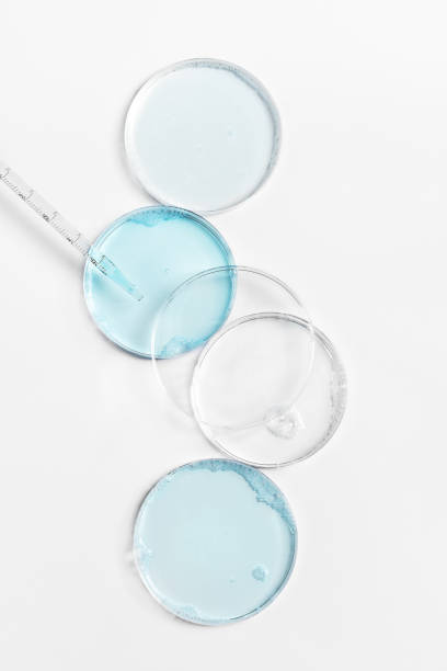 abstract petri dishes with cosmetic on white background top view. - disco de petri imagens e fotografias de stock