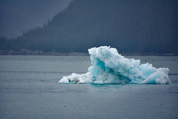 istock Columbia Glacier in Valdez Alaska 1331805527