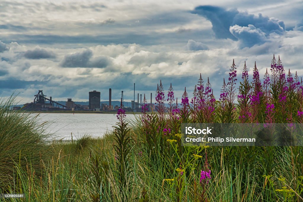 Distant view of abandoned Teeside steelworks, Redcar, England, Britain Purple wild flowers on beach with industrial architecture Teesside - Northeast England Stock Photo