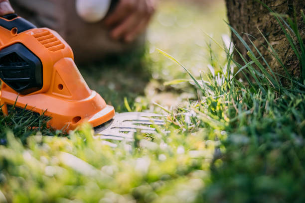 istock Electric trimmer on green grass 1331805604
