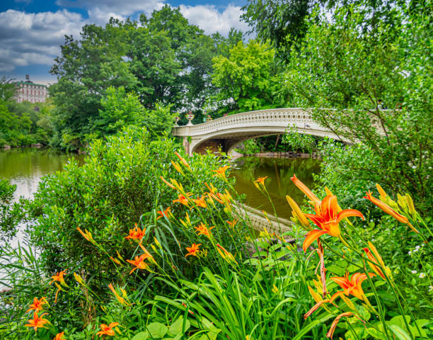 istock Bow bridge in early morning 1331807116