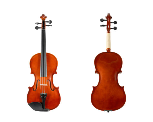 istock brown wooden violin isolated on white background 1331808132