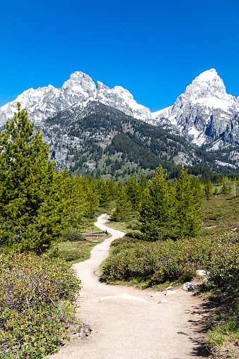 Hiking trail leading to Taggart Lake in Grand Teton National Park Wyoming, vertical