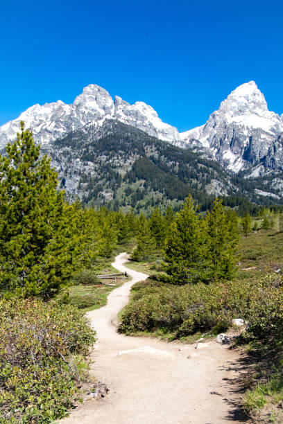 trilha de caminhada que leva ao lago taggart no grand teton national park wyoming - teton range grand teton national park mountain rural scene - fotografias e filmes do acervo