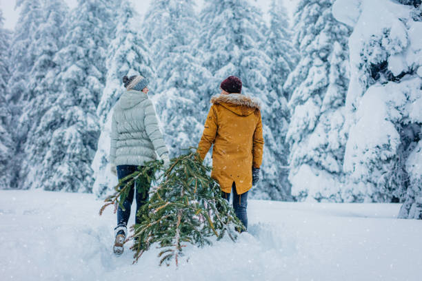 vista traseira do casal puxando galho de árvore de natal na neve - christmas tree standing clothing adventure - fotografias e filmes do acervo