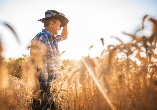 istock Proud Male Farmer 1331810252