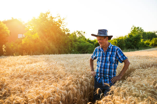 istock Happy Male Farmer 1331810275