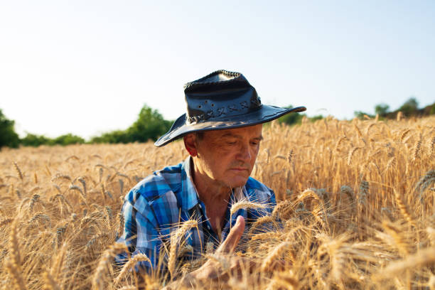 istock Farmer Taking a Close Look at the Crops 1331810284