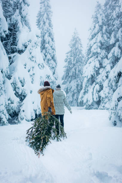 casal de mãos dadas e puxando árvore de natal na neve - christmas tree standing clothing adventure - fotografias e filmes do acervo