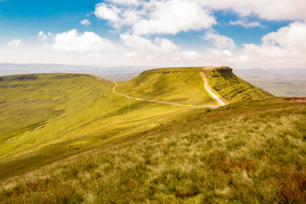 brecon beacons, wales, uk. a walking path to the summit of pen y fan and corn du. - extreme terrain footpath british culture green imagens e fotografias de stock