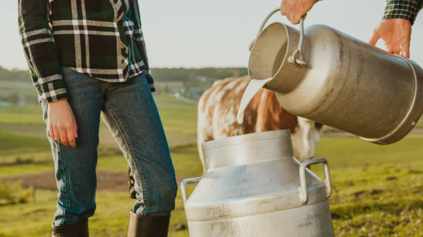 istock Farmer pouring raw milk into container 1331816719