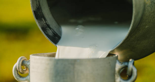 Close up of milk being poured into container stock photo
