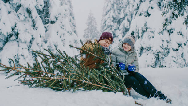 istock Young couple sitting with Christmas tree on snow 1331817609