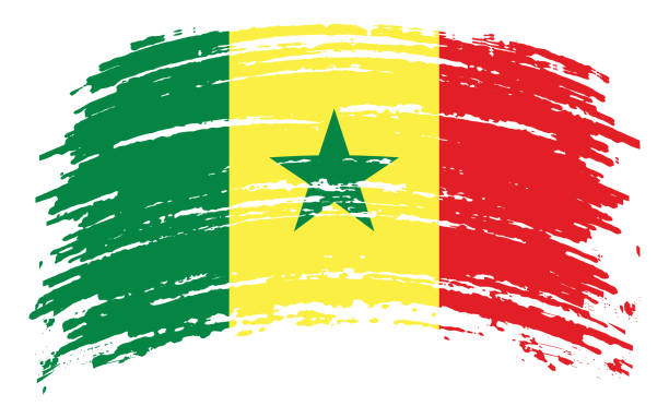 Senegal flag in grunge brush stroke, vector Senegal flag in grunge brush stroke, vector image senegal flag stock illustrations