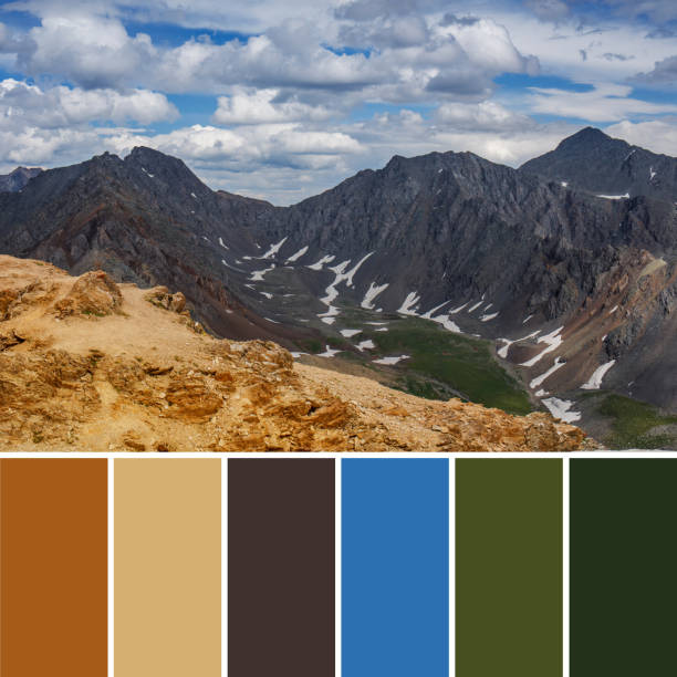 istock A combination of shades for interior decoration. 1331819673