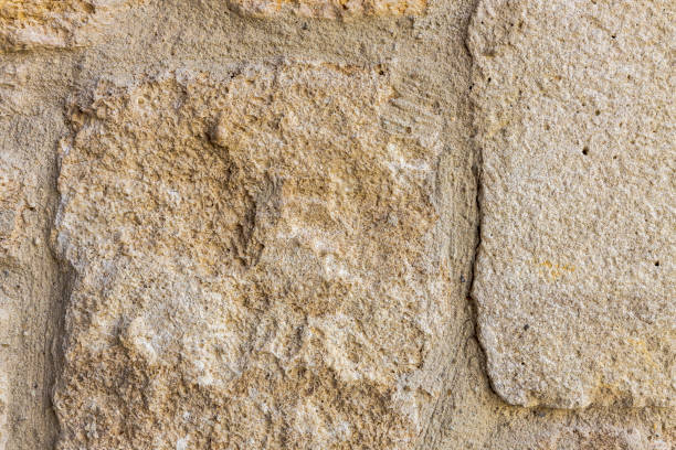 istock Beautiful natural background texture of brown stone. 1331820846