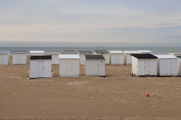 istock White wooden beach chalets on Calais beach 1331820927