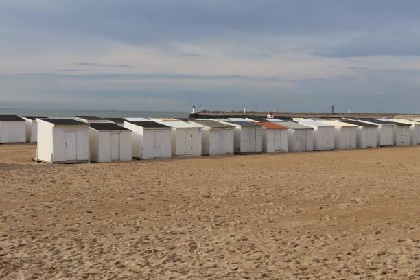 istock White wooden beach chalets on Calais beach 1331820935