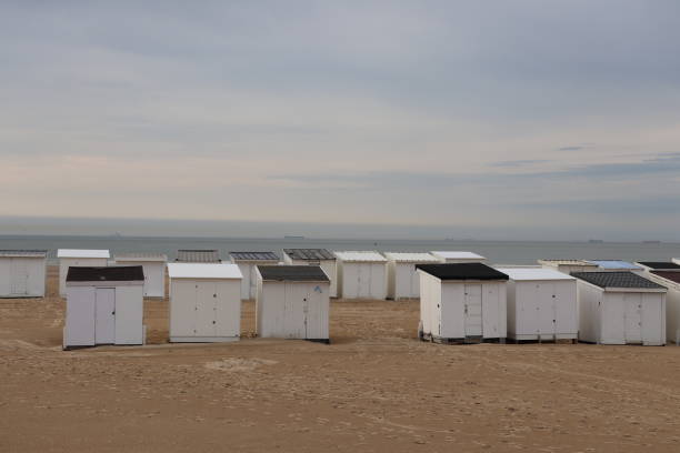 istock White wooden beach chalets on Calais beach 1331820953