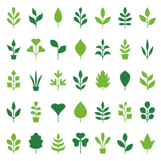 Vector illustration of Plants icon set