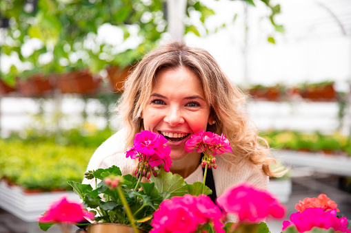 Middle age female gardener sniffs fresh flowers. Gardening activity.