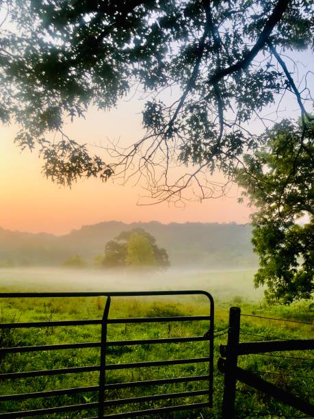 istock Harmony Ranch Vacation Rental Company Killen, Alabama 1331824655