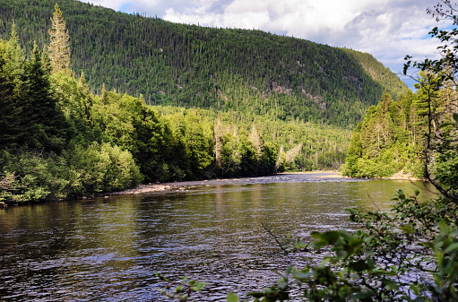Sainte-Marguerite river framed by the Laurentian mountains' forest on a late Summer afternoon.