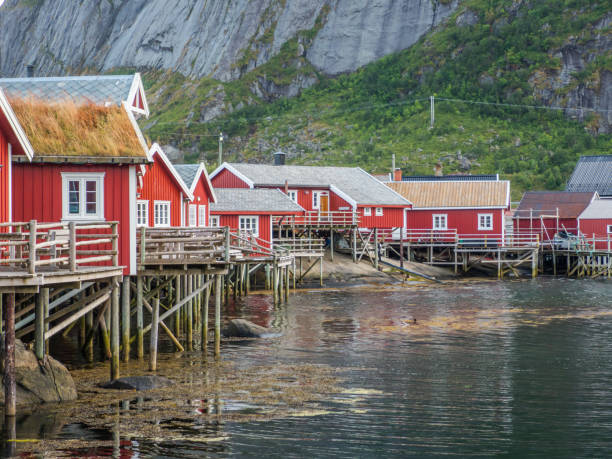 istock Lofoten. Norway. Europe. 1331825896