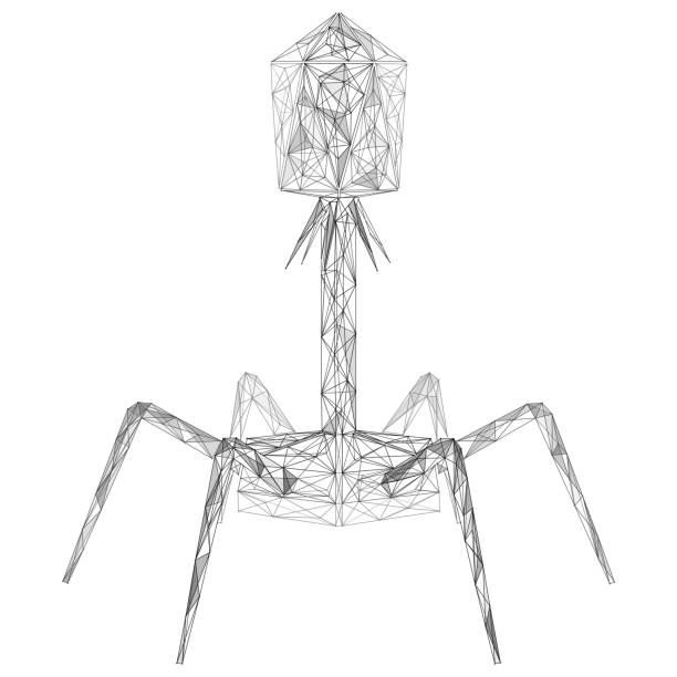 ilustraciones, imágenes clip art, dibujos animados e iconos de stock de bacteriófago. - bacteriófago