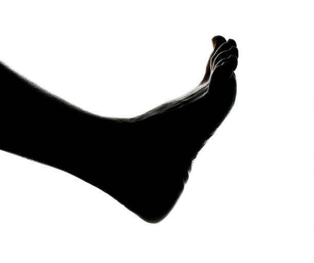 Silhouette of one bare foot on a white background.