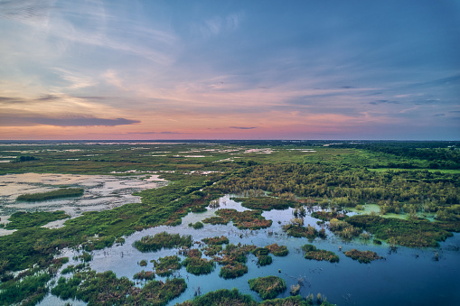 Shore of a lake during the golden hour