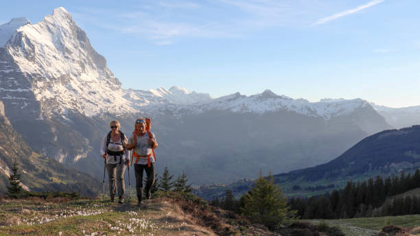 istock Mature couple hike along sunny mountain ridge 1331835160