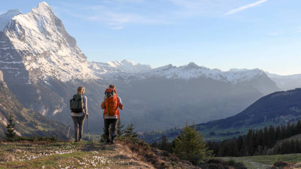 istock Mature couple hike along sunny mountain ridge 1331835161