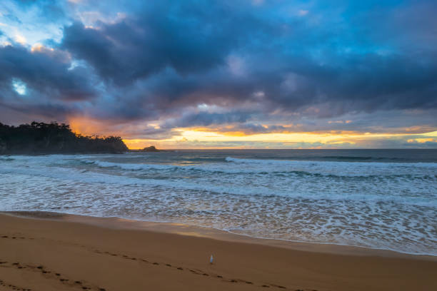 istock South Coast Sunrise Seascape and light high cloud 1331838682