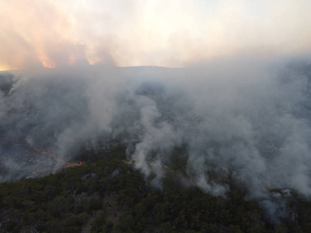 istock Burning forest in Mersin province, Turkey 1331839869