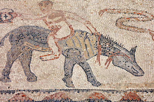istock Archaeological site of  Volubilis in Morocco 1331841020
