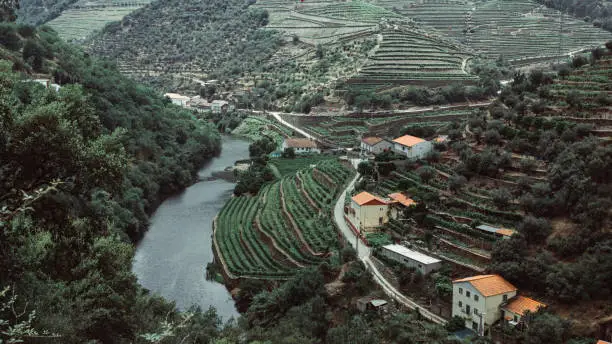 Photo of View of the river and vineyards are on a hills in Douro Valley, Portugal.