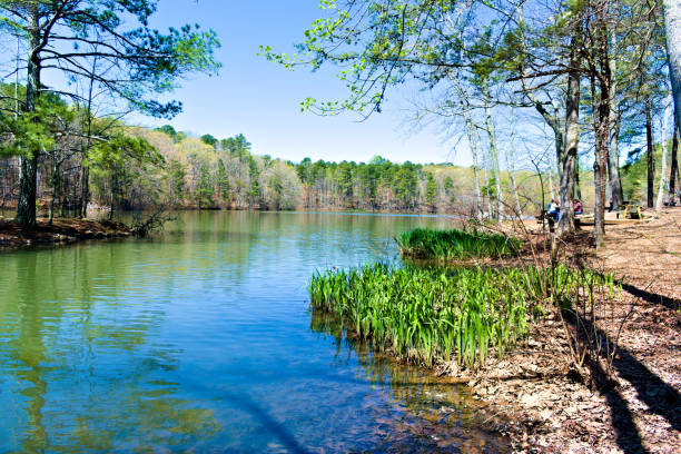 People Picnic by the Lakeside Landscape. Some people picnic by the scenic lakeside. Created in Huntsville, AL, April 4, 2021 huntsville alabama food stock pictures, royalty-free photos & images