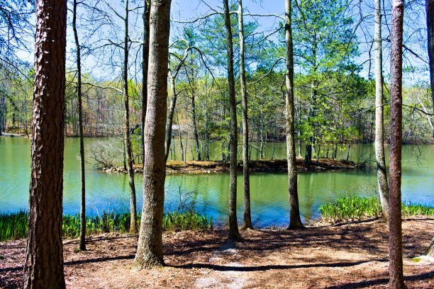 istock Scenic View  by the Lake 1331848733